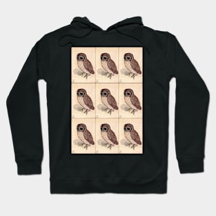 Little Owl by Albrecht Dürer Hoodie